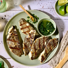 Black Sea Bass Bundle