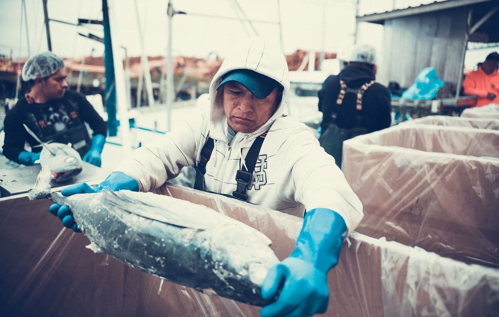 What is Albacore Tuna?