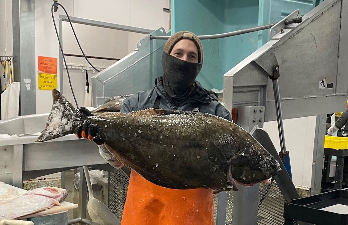 AGS holds up halibut