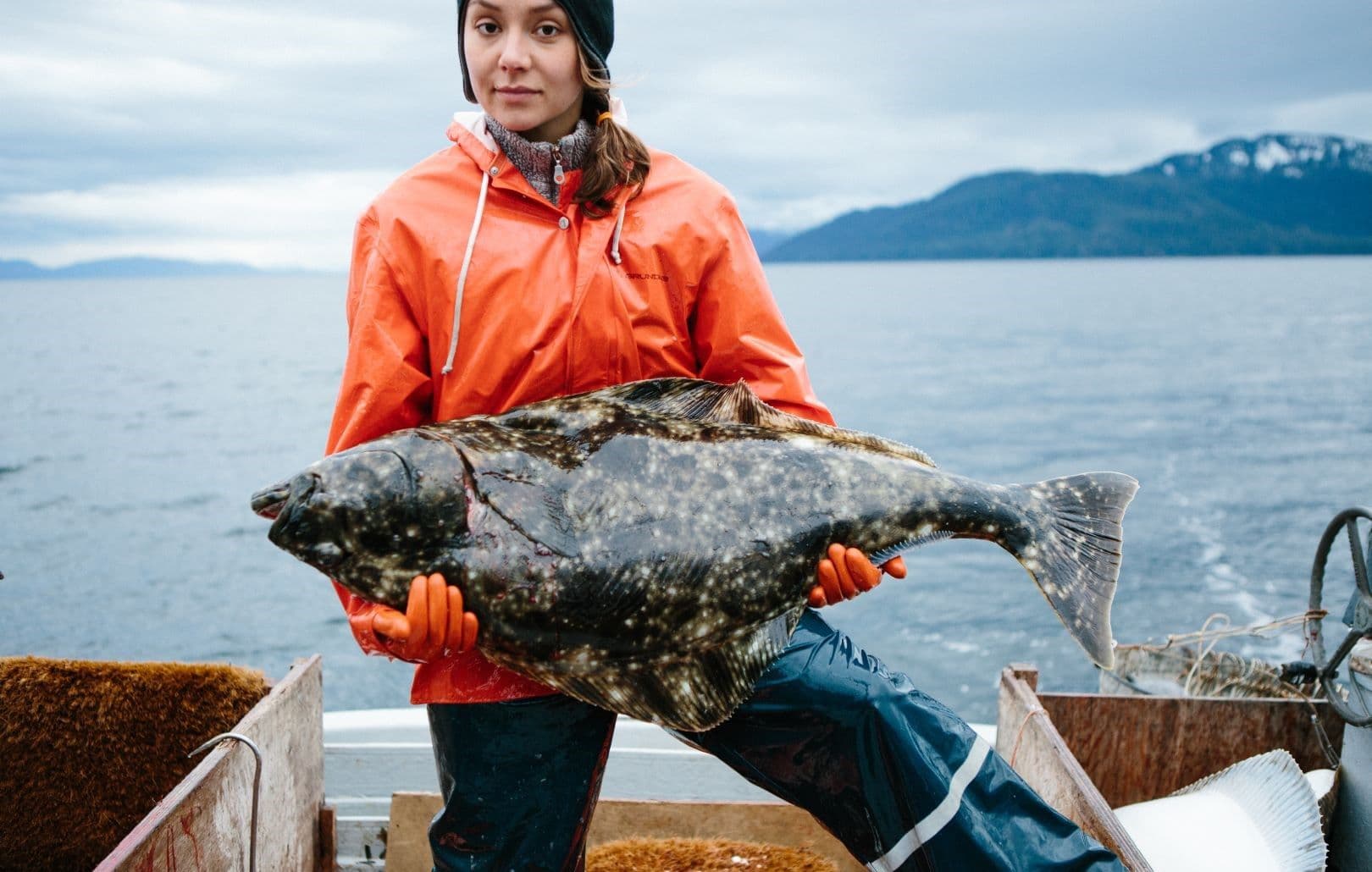 What is Halibut?