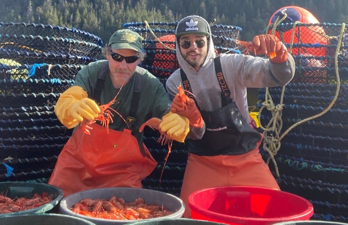 Spot shrimp pot fishing
