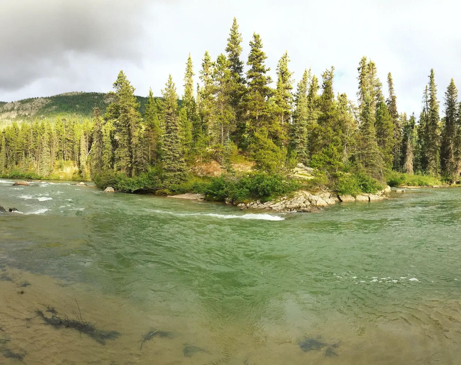 Wild Alaska river