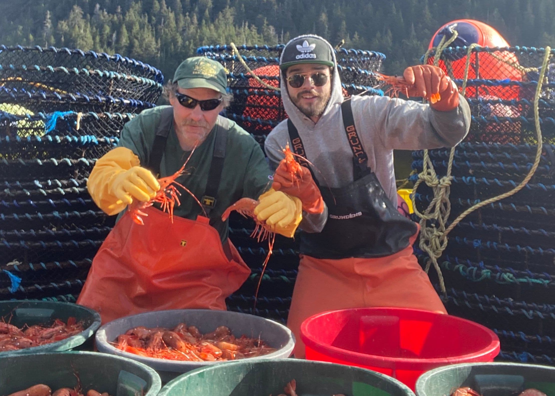 Spot shrimp pot fishing