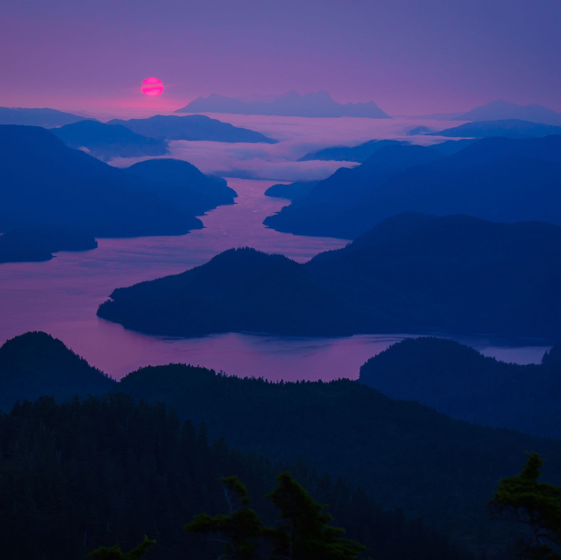 Image by Bethany Sonisi-Goodrich