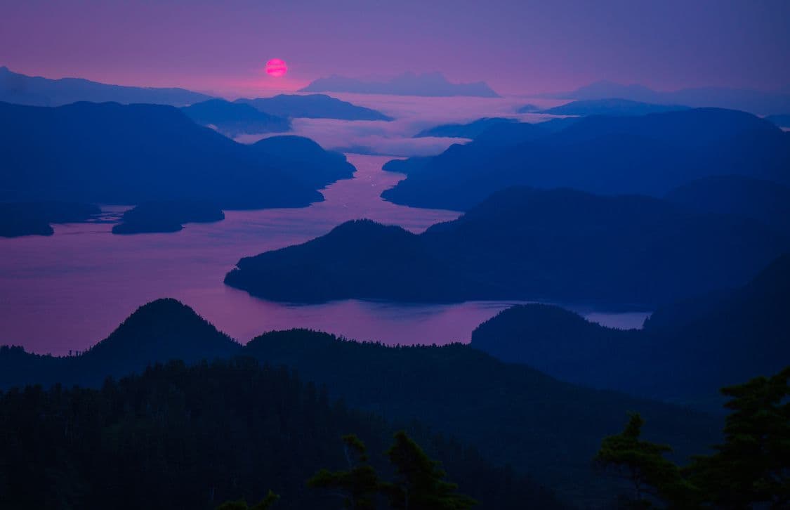 Image by Bethany Sonisi-Goodrich