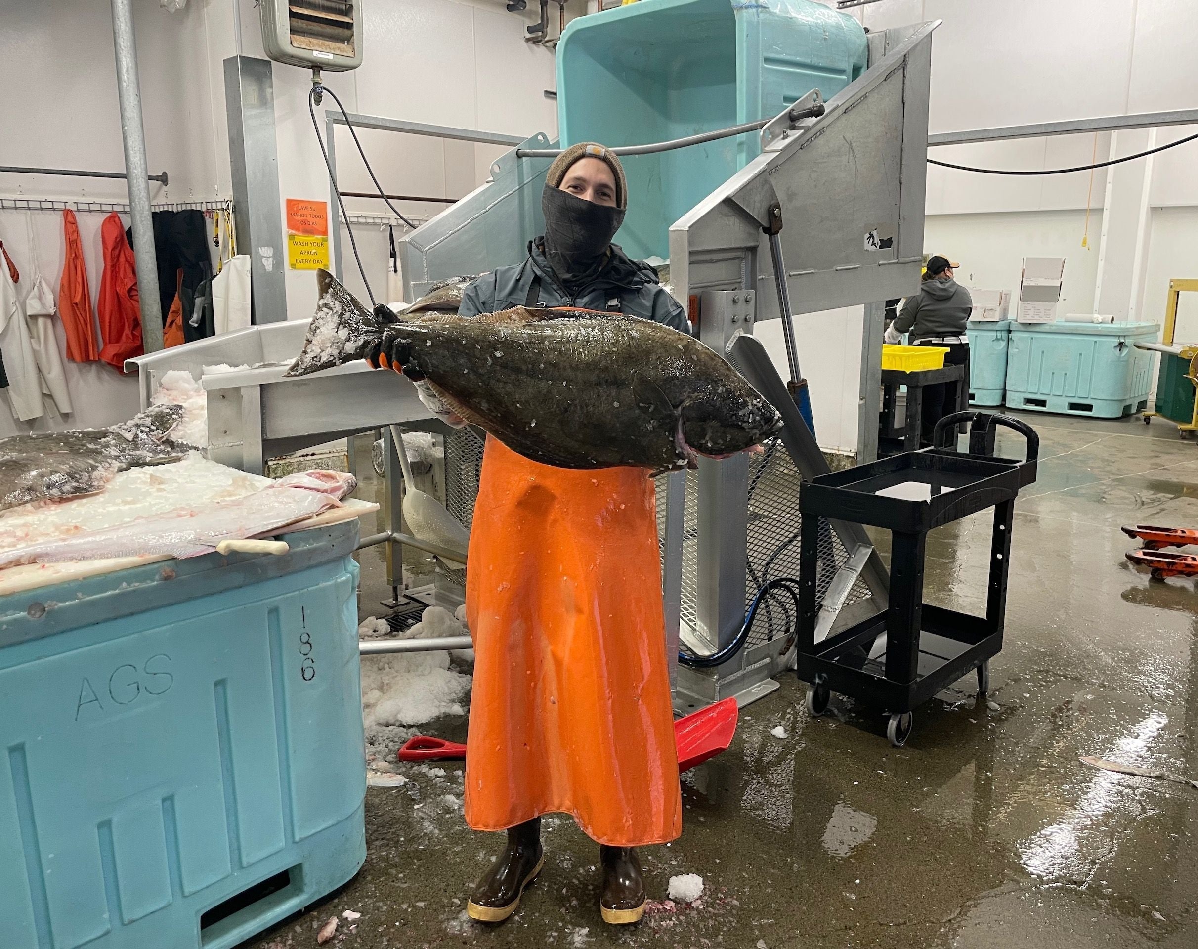 From Shrimp to Halibut: Growing a Family-Run Seafood Processor