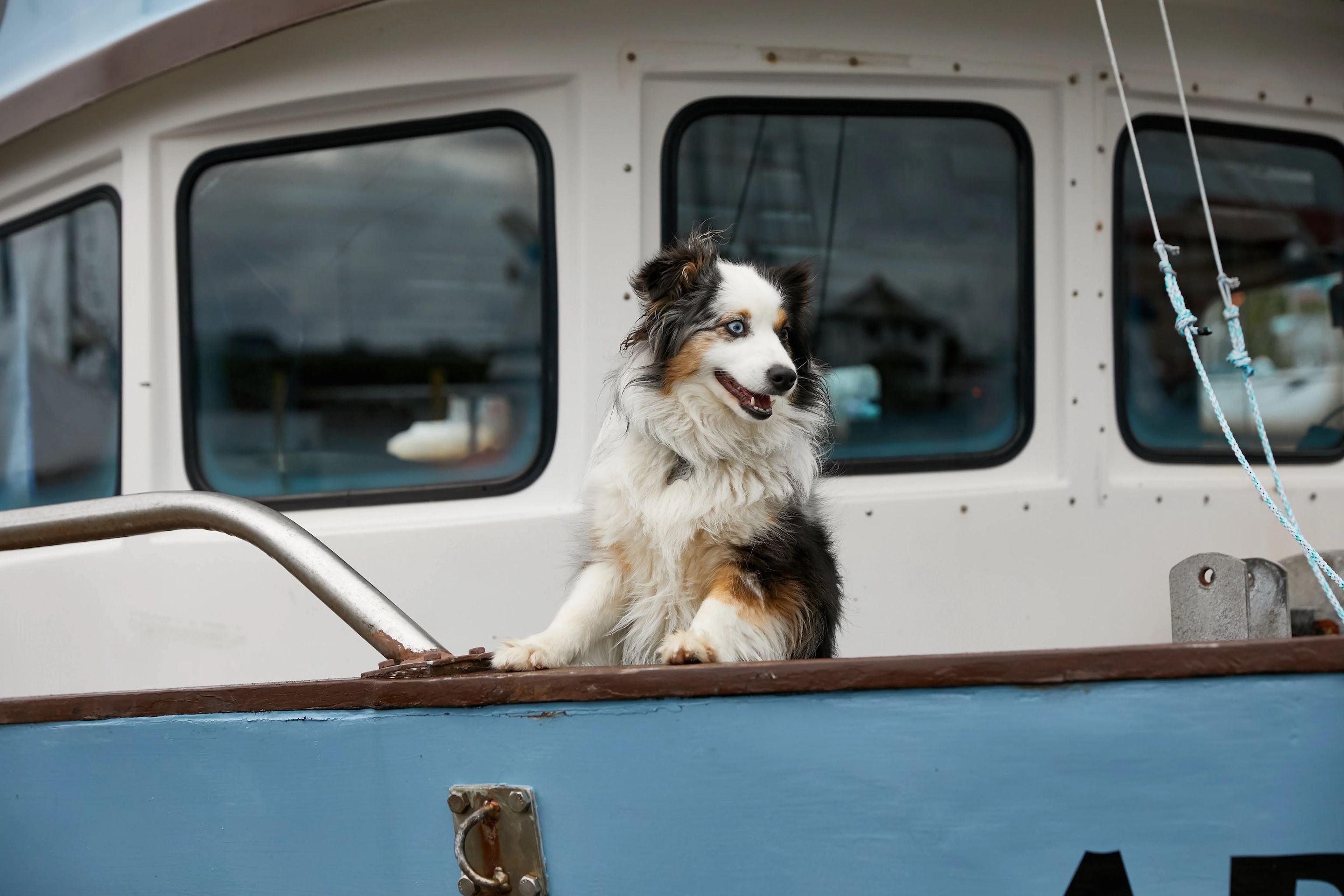 A Fisherman and Advocate