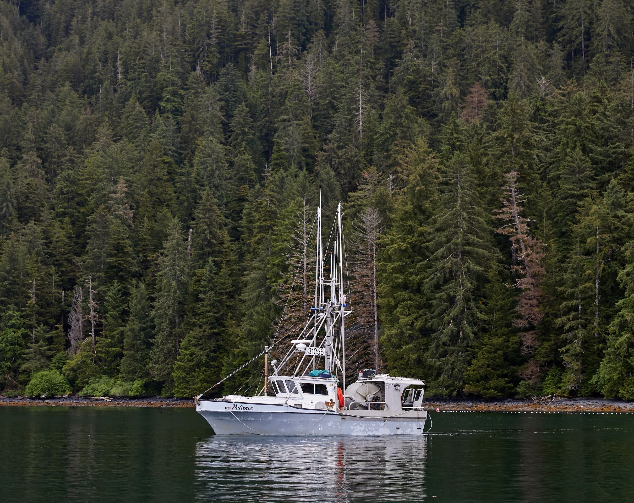 Blockchain: The Vaccine Against Future Disruption in the Seafood Industry