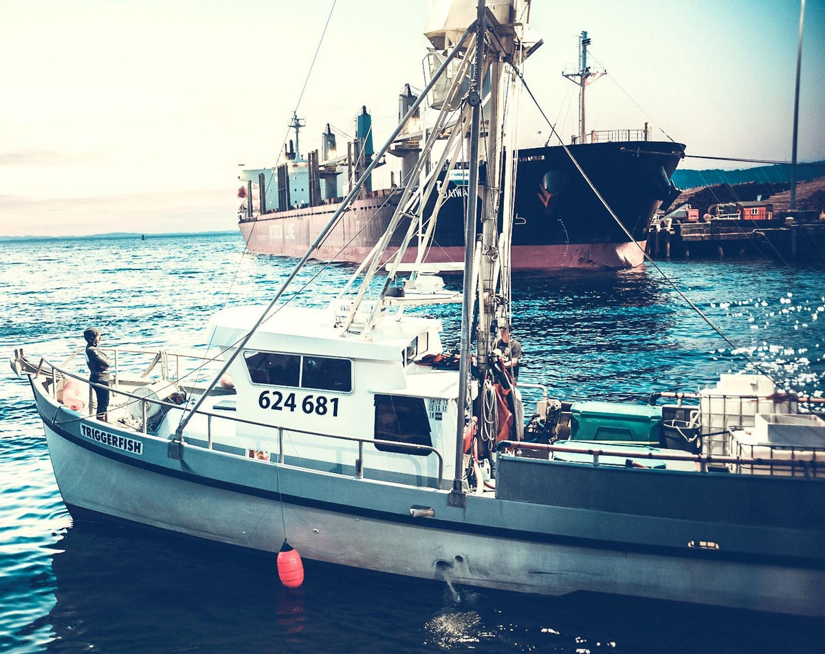 Catching The Fish is the Easy Part, Says One Tuna Fisherman
