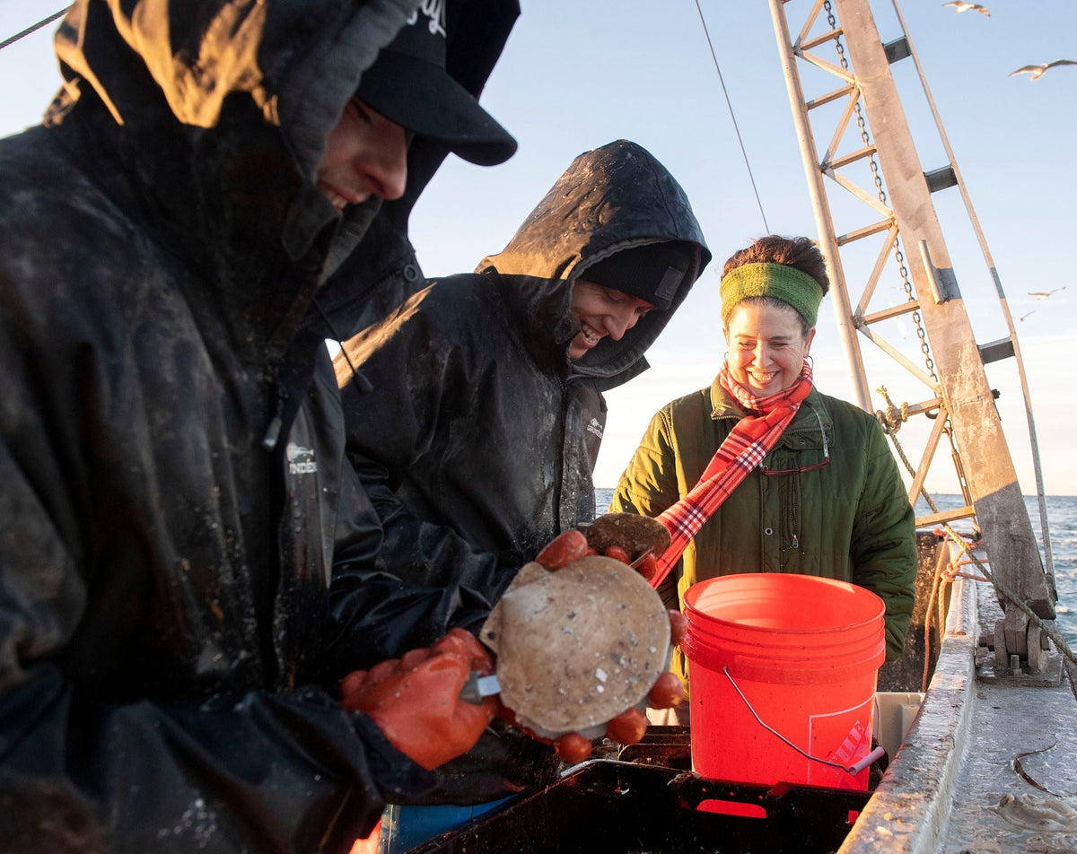 Going Small: Sustainable Scallops Harvested in Small Batches