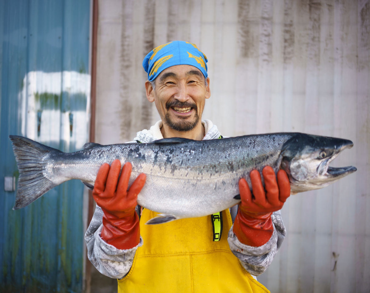 Salmon Spell Connection