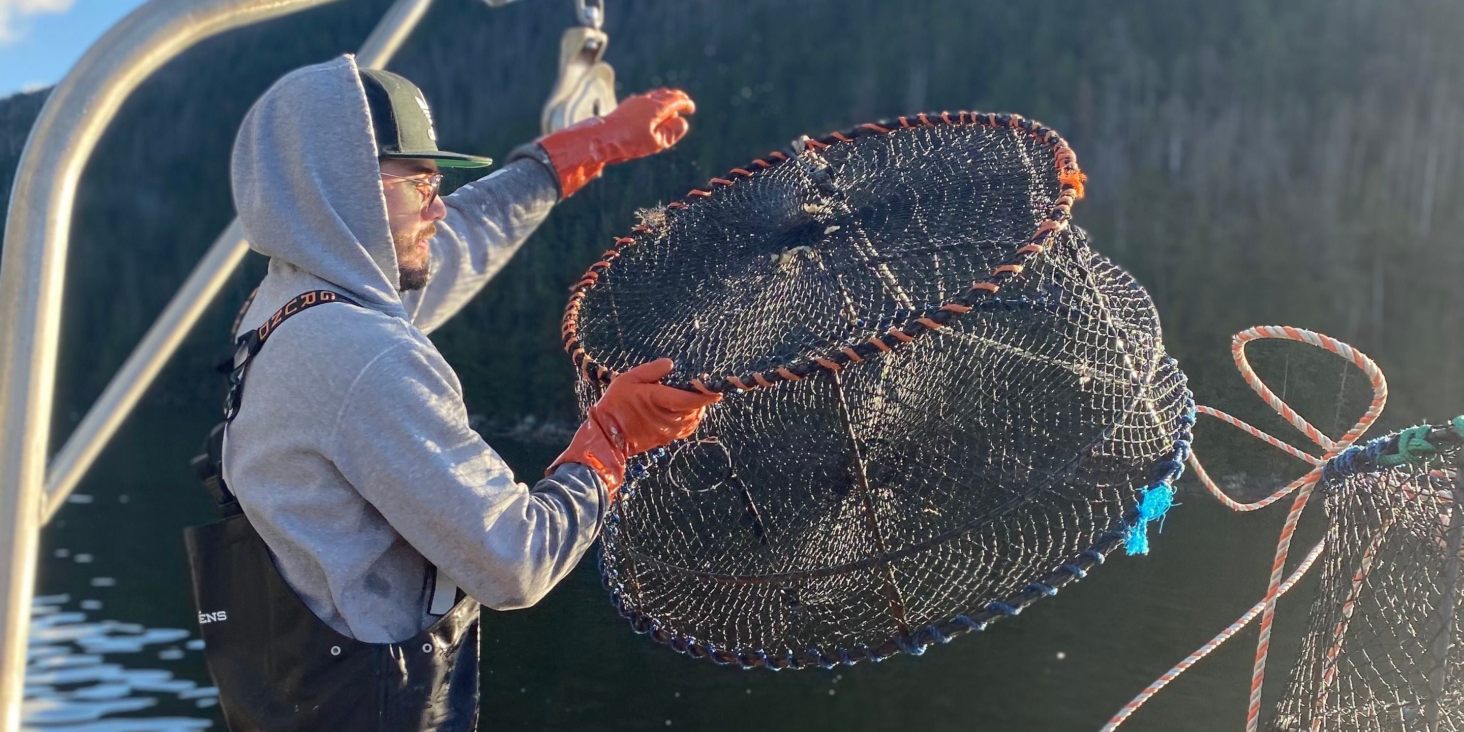 The Future of Spot Shrimp