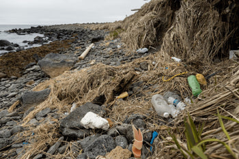 Fishermen Leading the Charge Against Marine Debris in Alaska