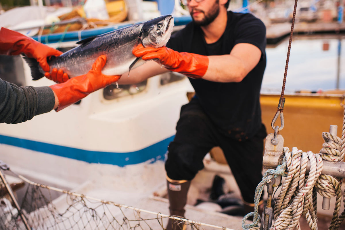 Coho Fishing