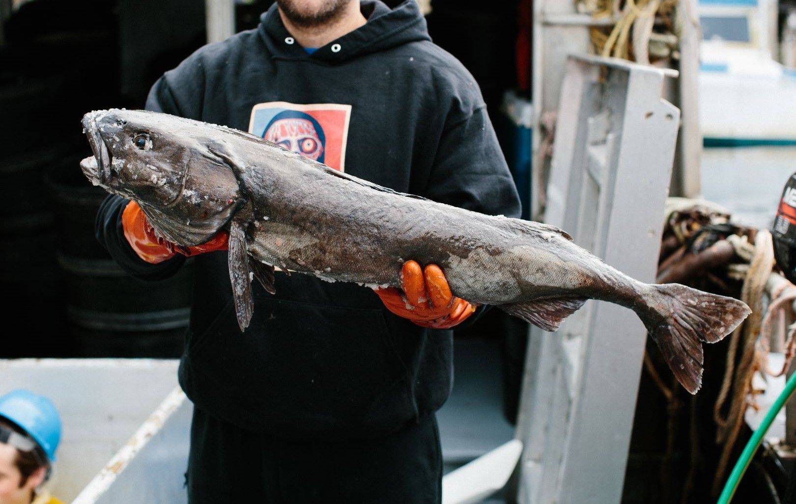 What is Sablefish?