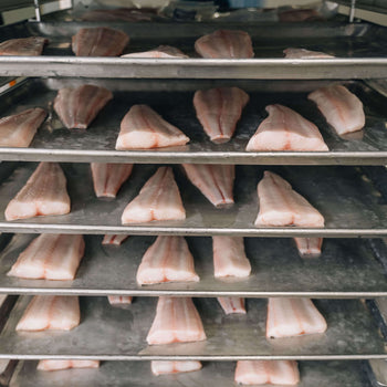 sablefish ready for the freezer