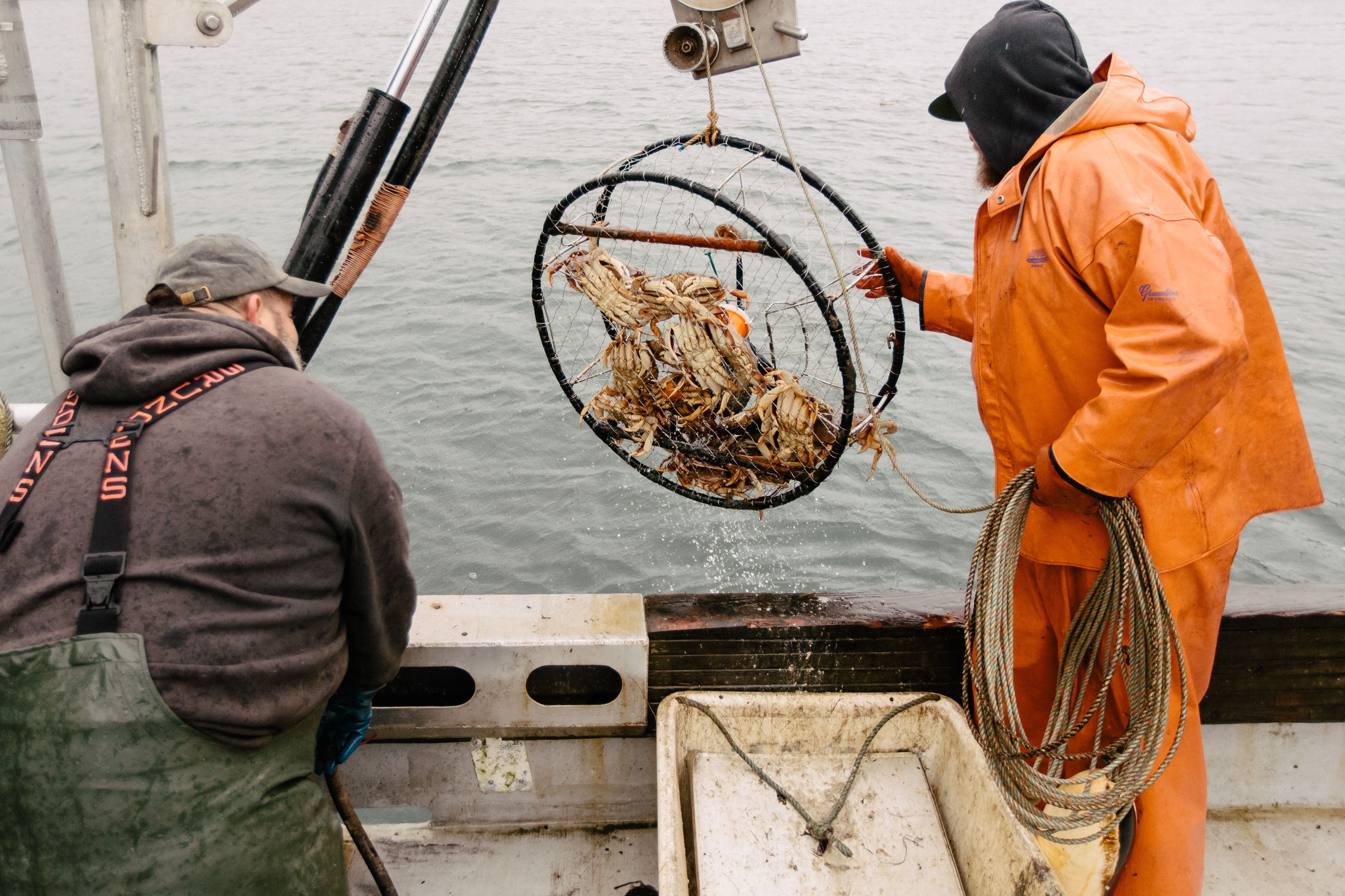 Longlines, Pots & Precision