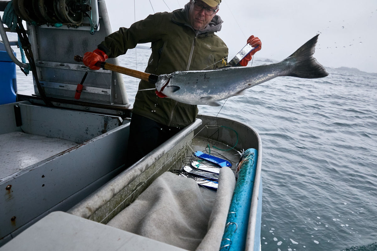 Scientists of the Sea