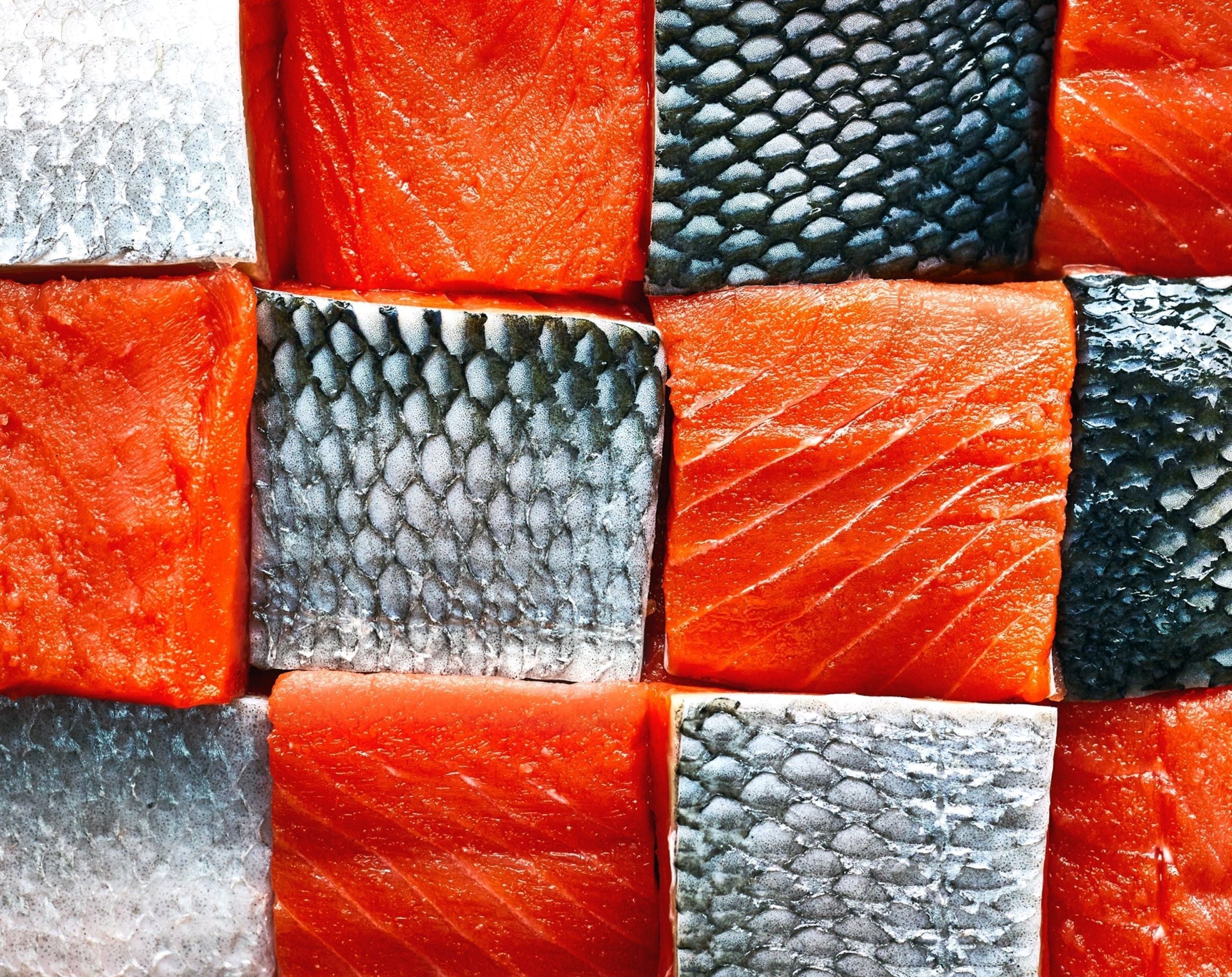 Now's the Time to Order Mass Quantities of Wild Alaskan Salmon Online