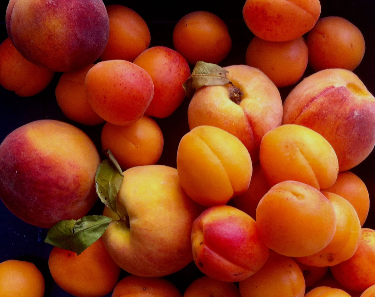 National Peach Month