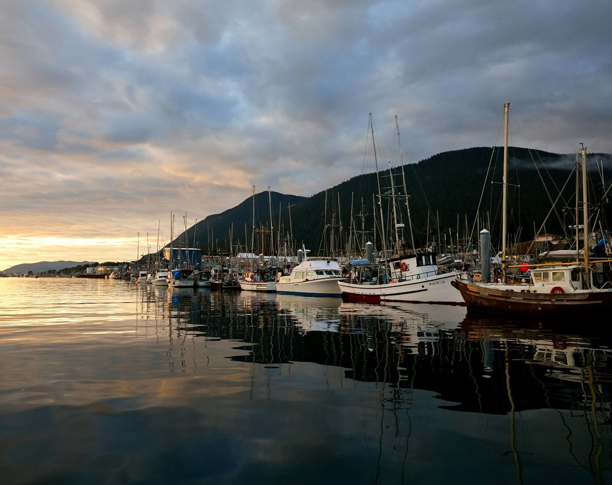 Best fish forward: Sustainable fish is fresher, better and easier to find than ever