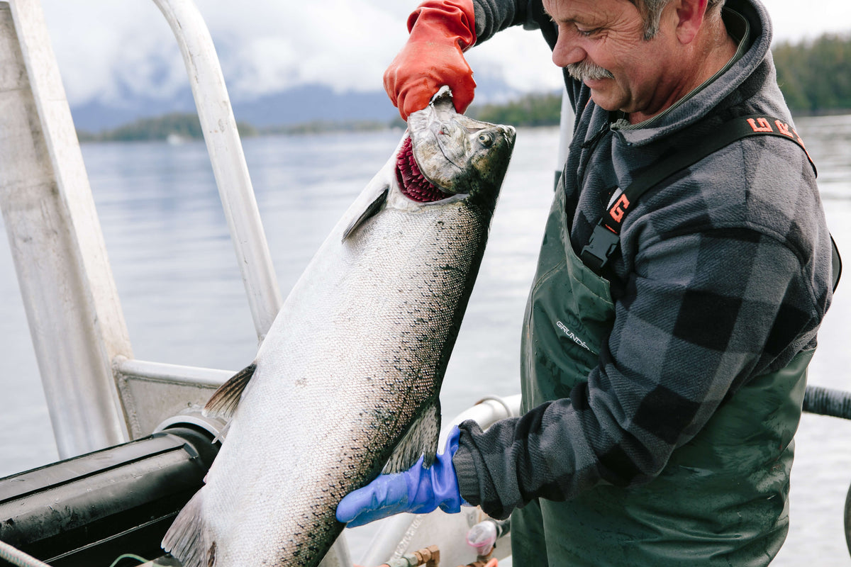 Man holding a salmon