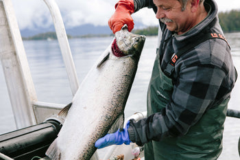 Man holding a salmon