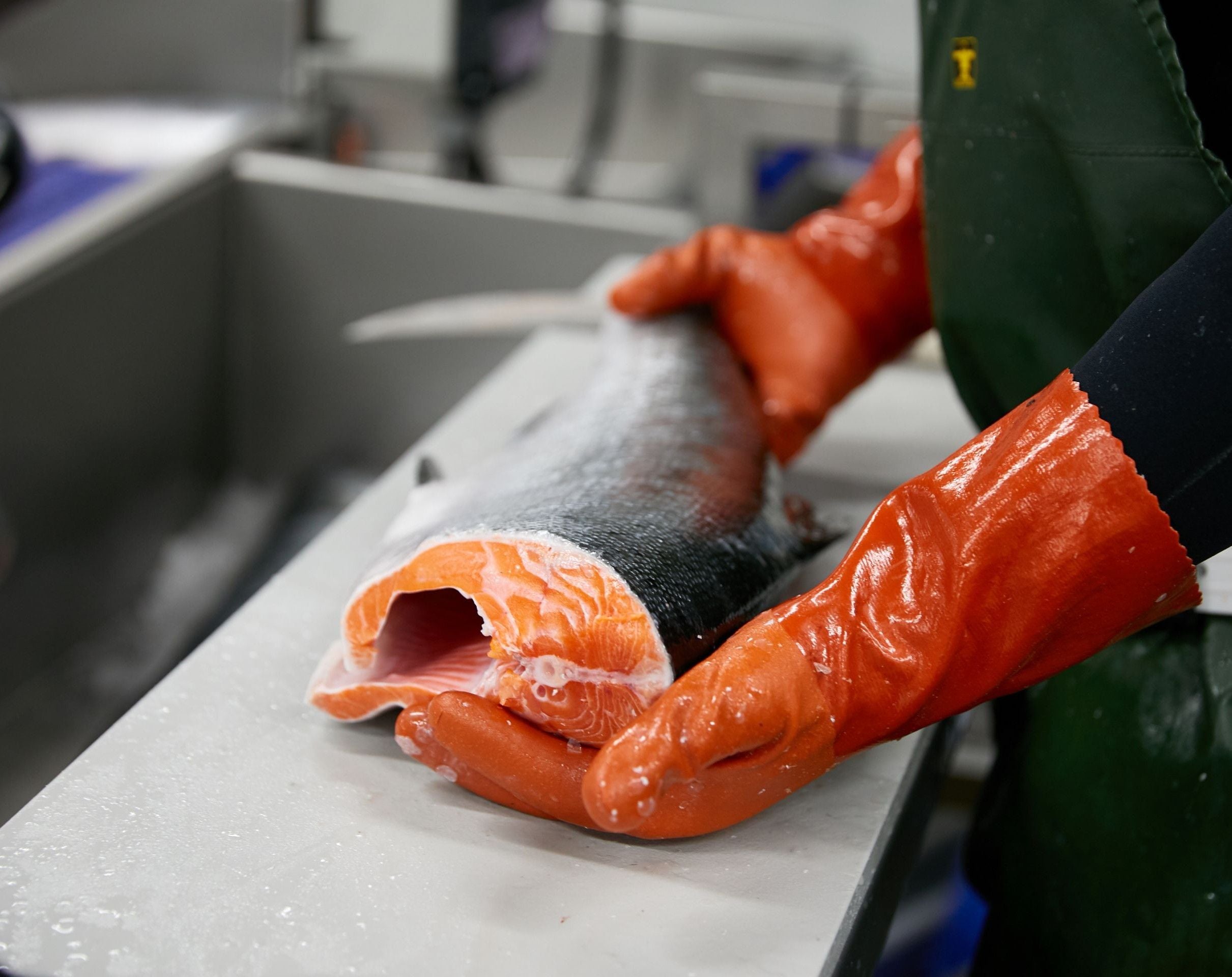 Seafood You Can Trust