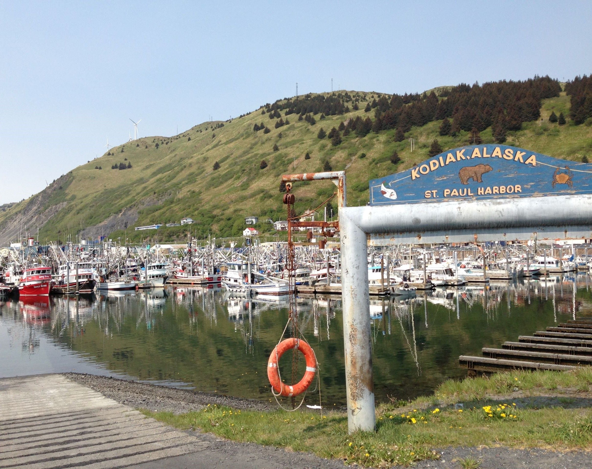 https://cdn.shopify.com/s/files/1/0305/5921/files/kodiak_harbor_aa10d4cd-8116-4c6e-b8ee-17e769e00536.jpg?v=1769096951