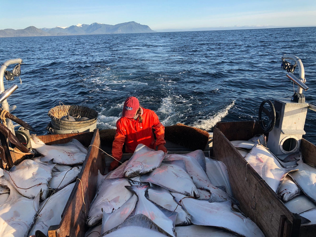 Halibut Fishing in Sitka