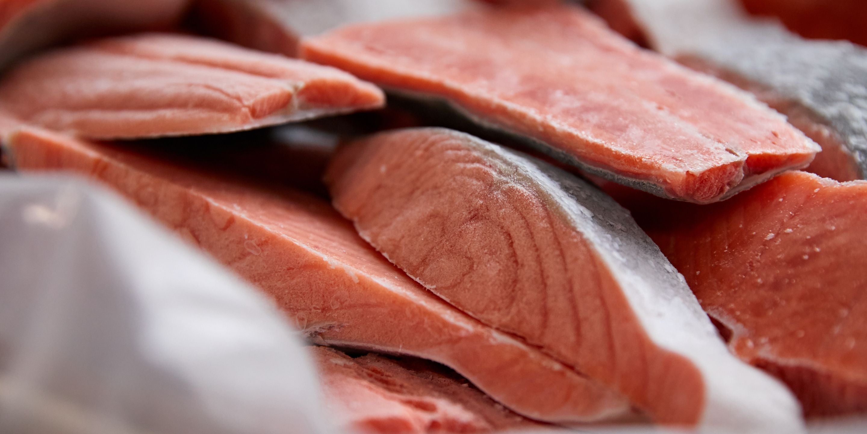 Why Frozen Fish Are Fresh