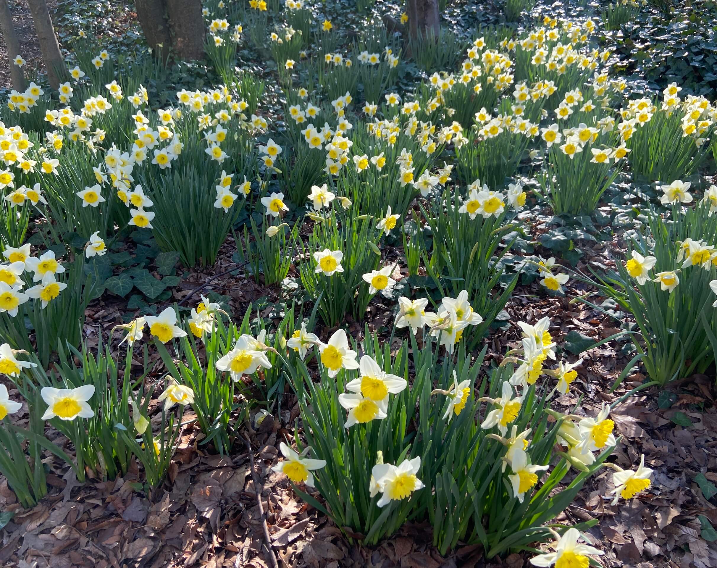 Hello Spring, We’ve Been Waiting for You