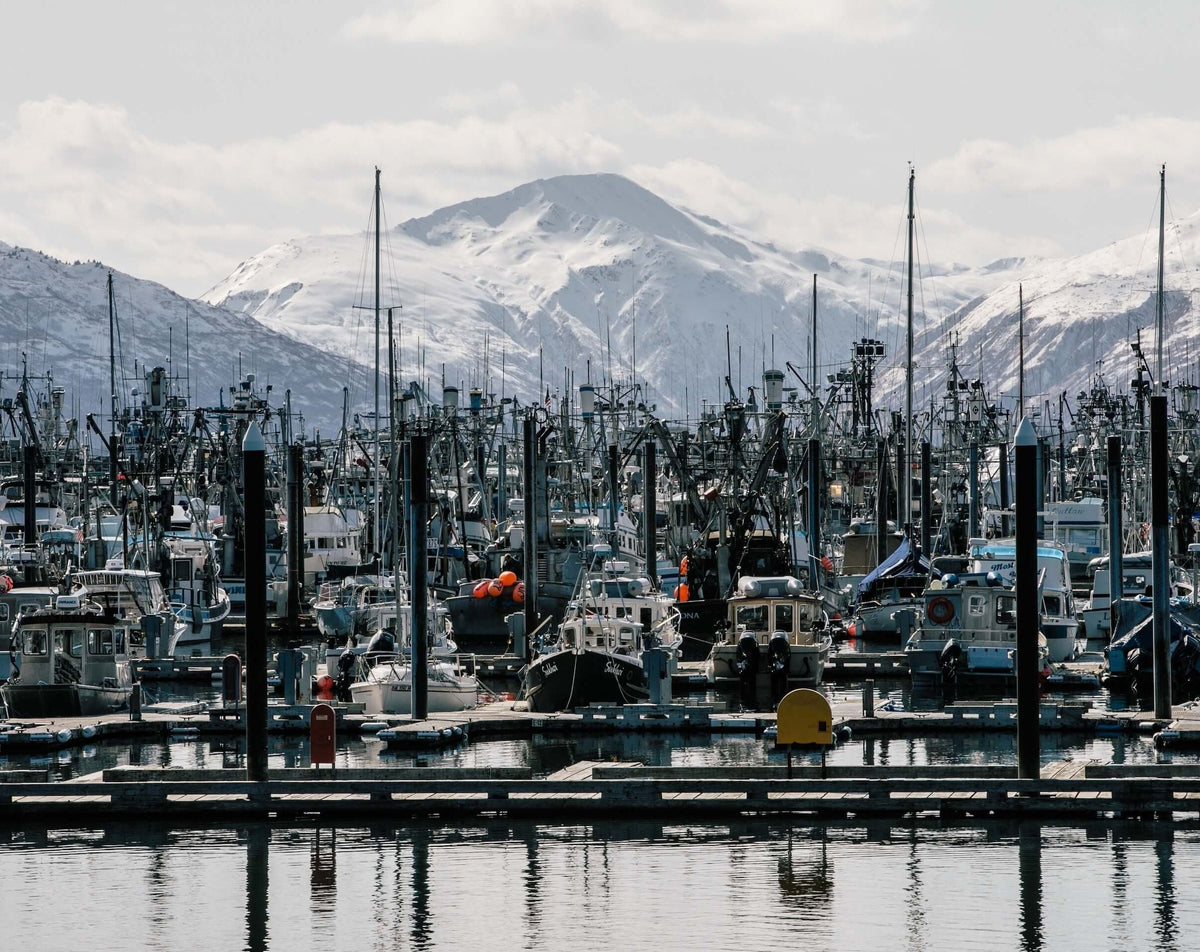 Kodiak Island Wildsource — Alaska's David and Goliath Story