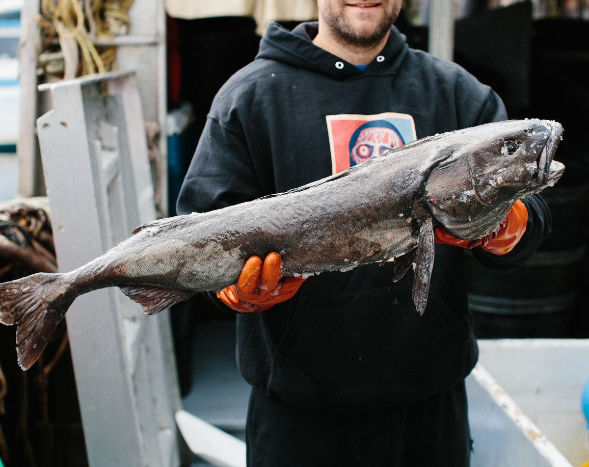 Explainer: What is Sablefish?