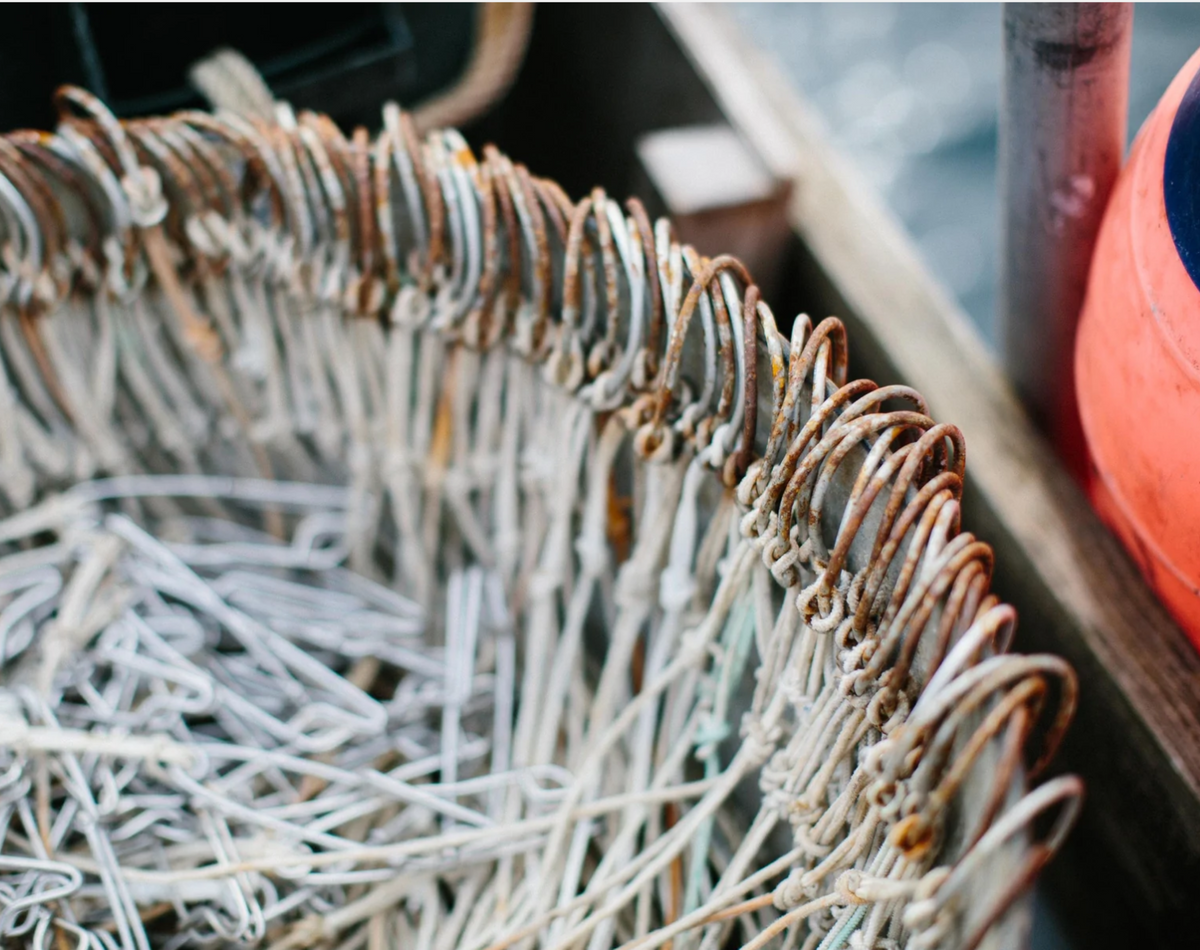 Local Seafood Summit: Adding Value(s) to a Transforming Seafood System