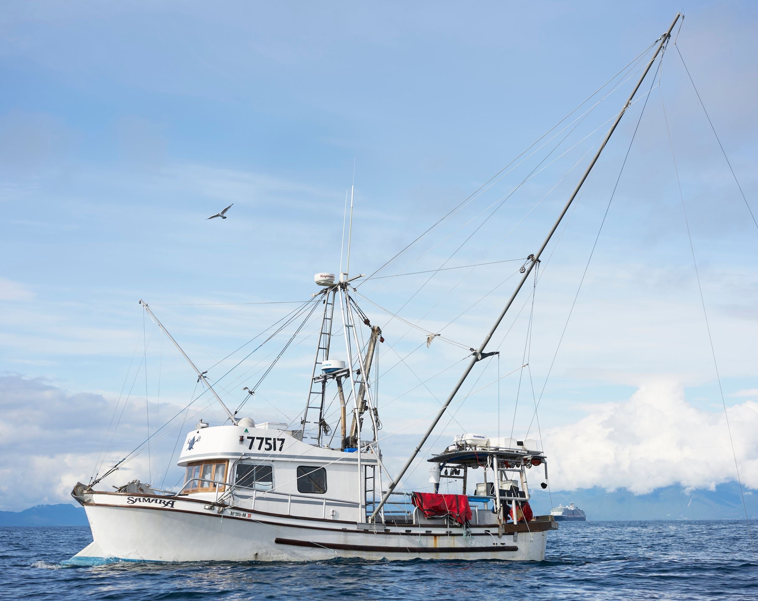 Will there be a Southeast Alaska King Salmon Fishery in 2023?