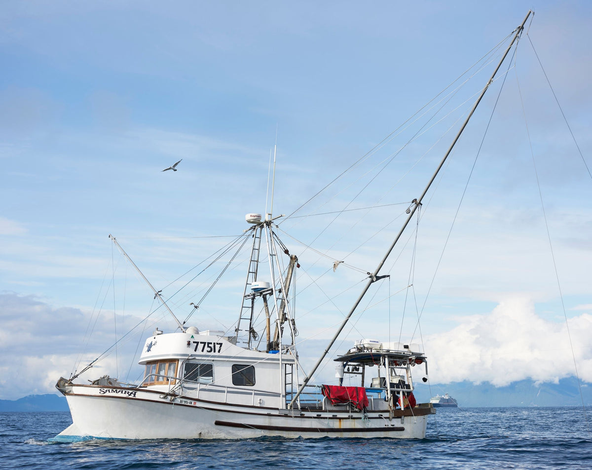 Will there be a Southeast Alaska King Salmon Fishery in 2023?