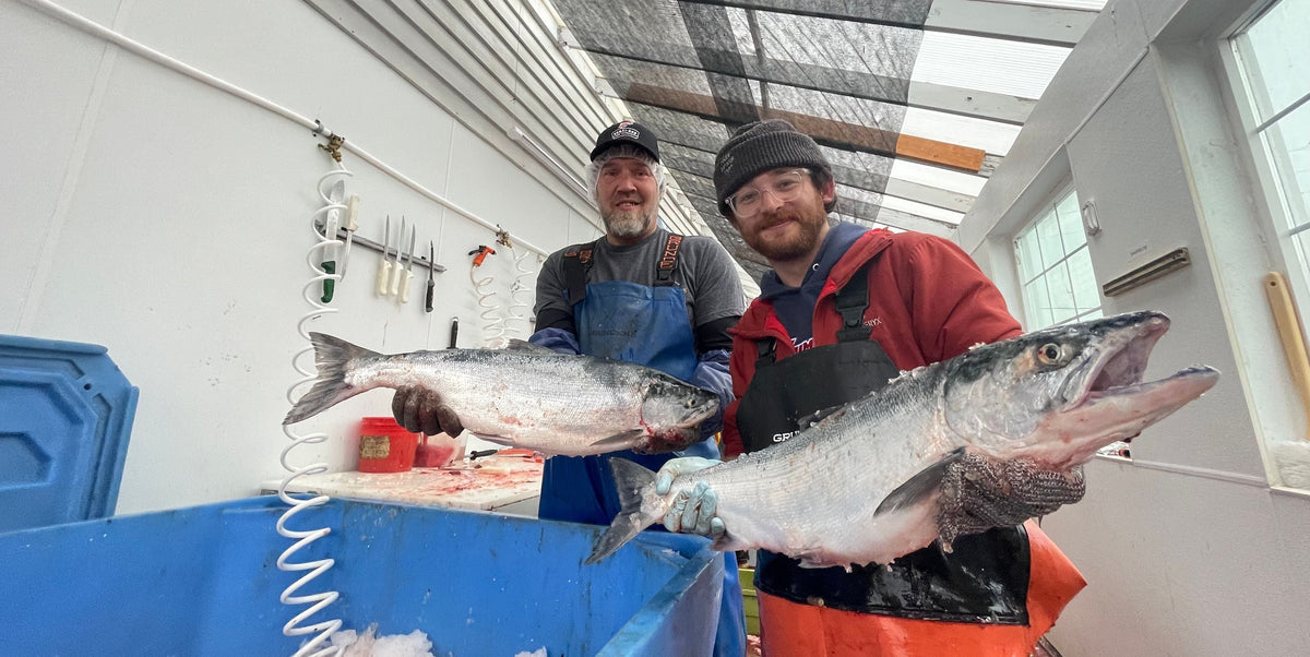 Summer Sockeye from Kenai-Red Fish Company
