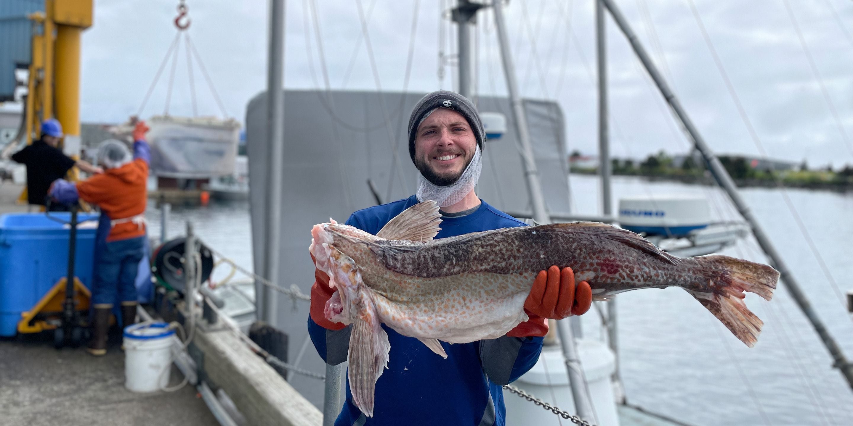 Processing Wild Lingcod