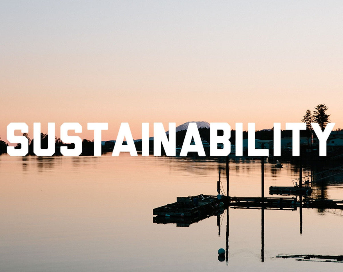 What Is Sustainable Fish, and Why Is It Better for the Earth?