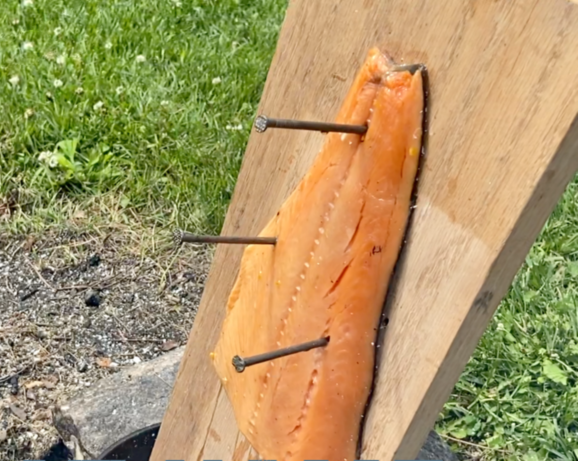 Wild at Home - Loimulohi (Blazed Salmon)