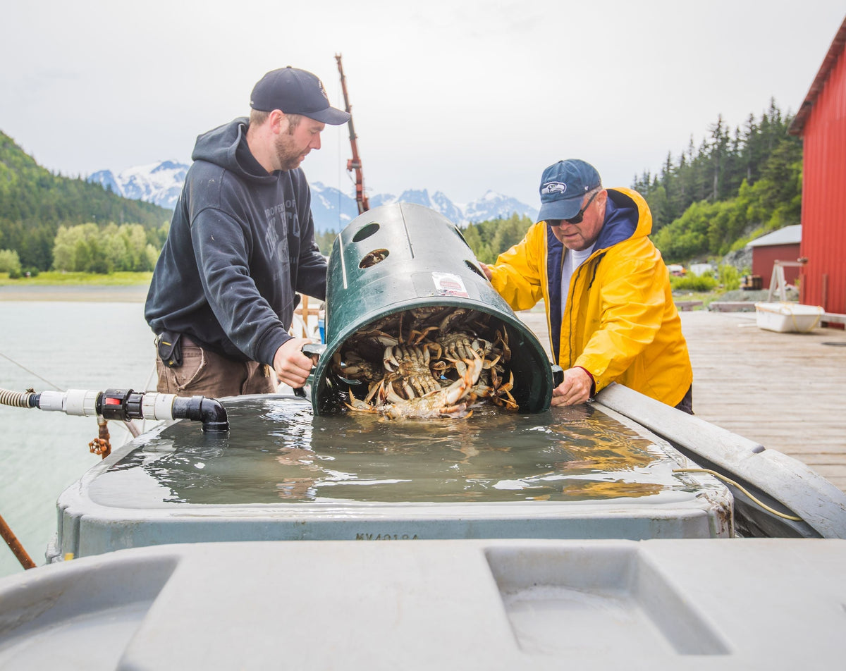 Tip of the Day: Dungeness Crab Harvesting