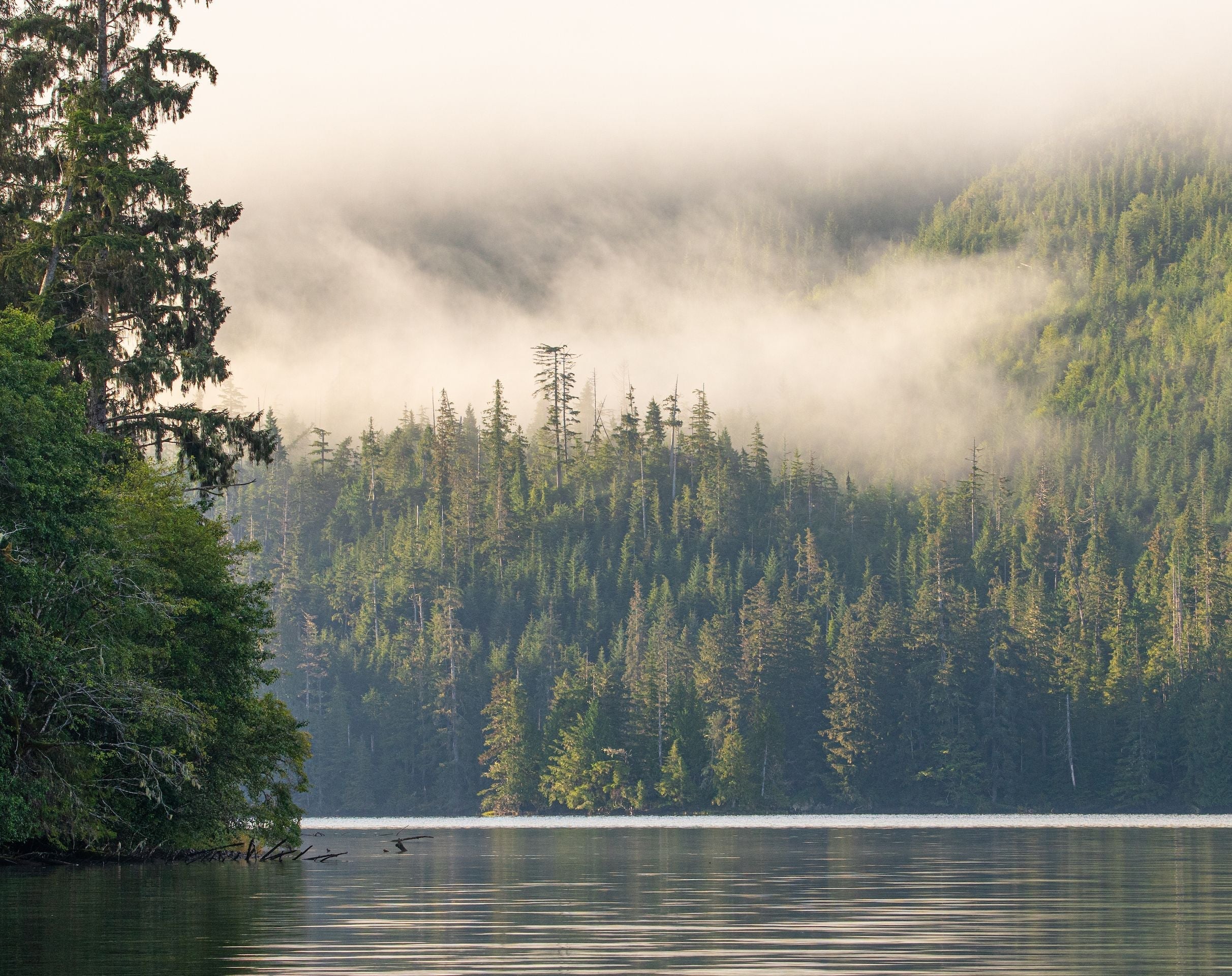 Support Alaska's Wild Fish Habitats this Giving Tuesday