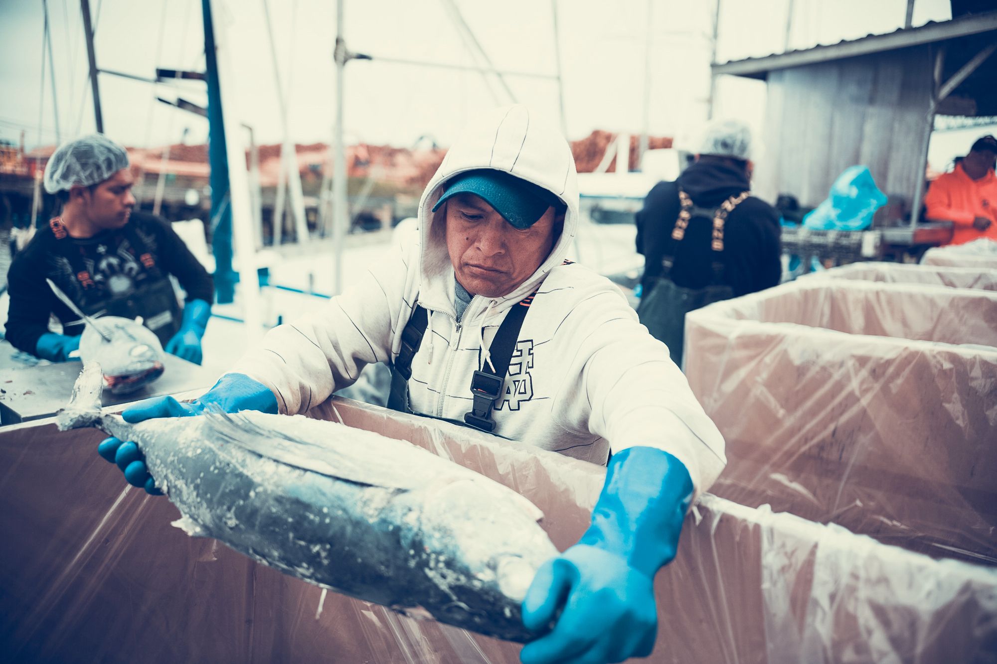 How well do you know your tuna?
