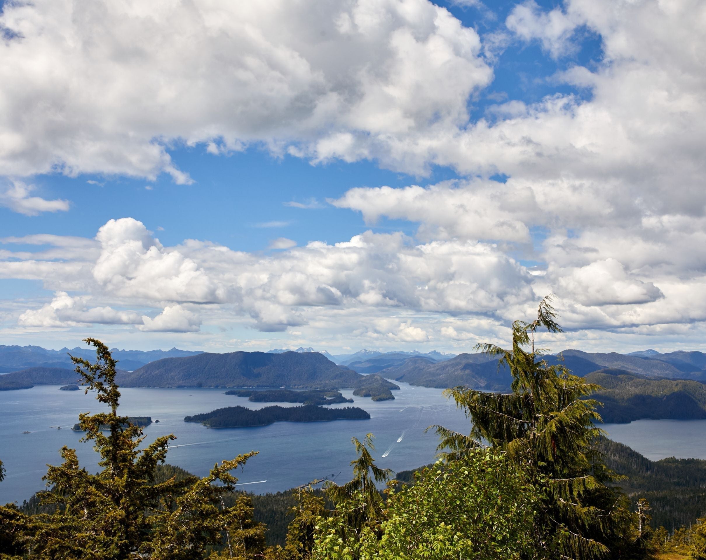 Honoring Our Oceans: Why Sustainable Seafood Matters More Than Ever