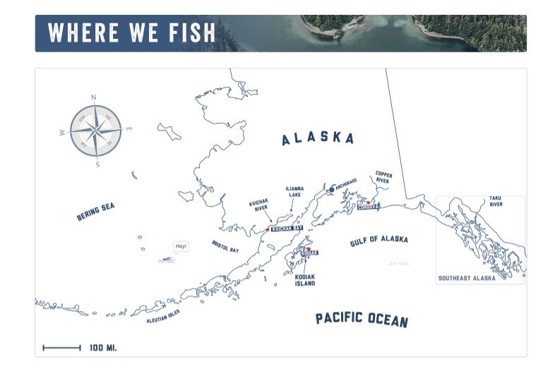 Salmon Report