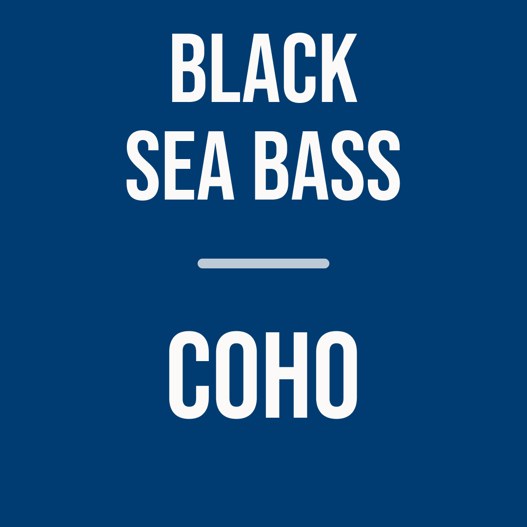 Black sea bass and Coho salmon | Signature Subscription | Dec 2026