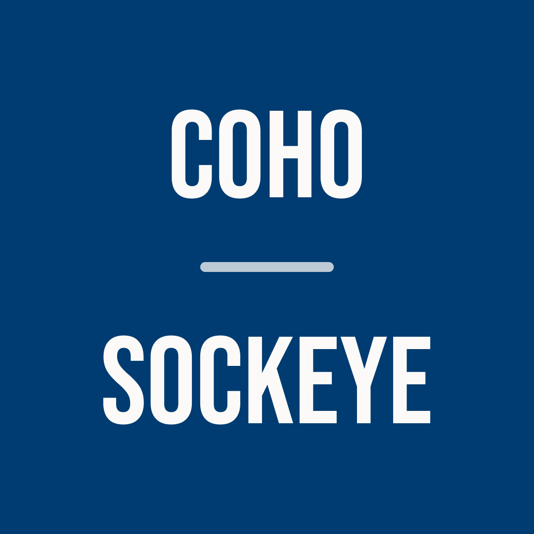 Sockeye salmon (4 pcs) and Coho salmon (6 pcs) | Salmon Subscription | Jun 2026