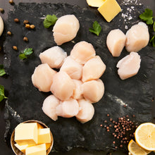 Day Boat Scallops (8 oz)