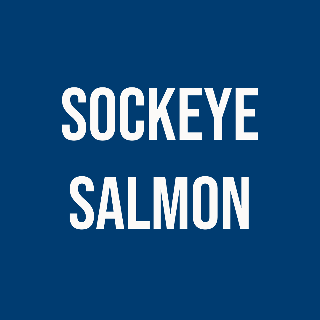 Sockeye salmon | Premium Salmon Subscription | Aug 2026